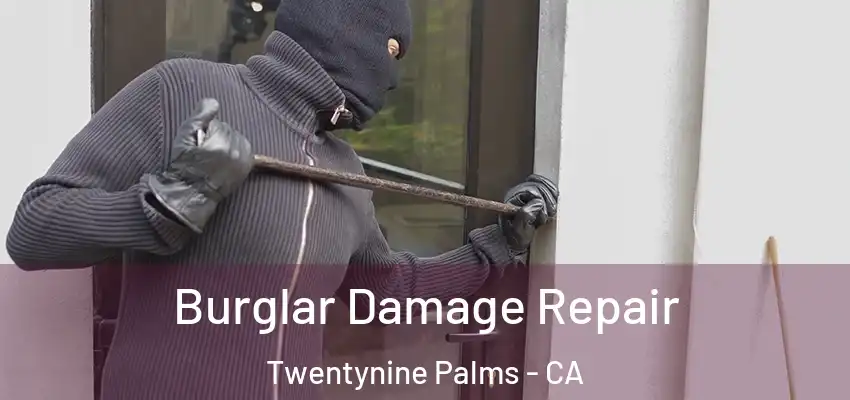 Burglar Damage Repair Twentynine Palms - CA